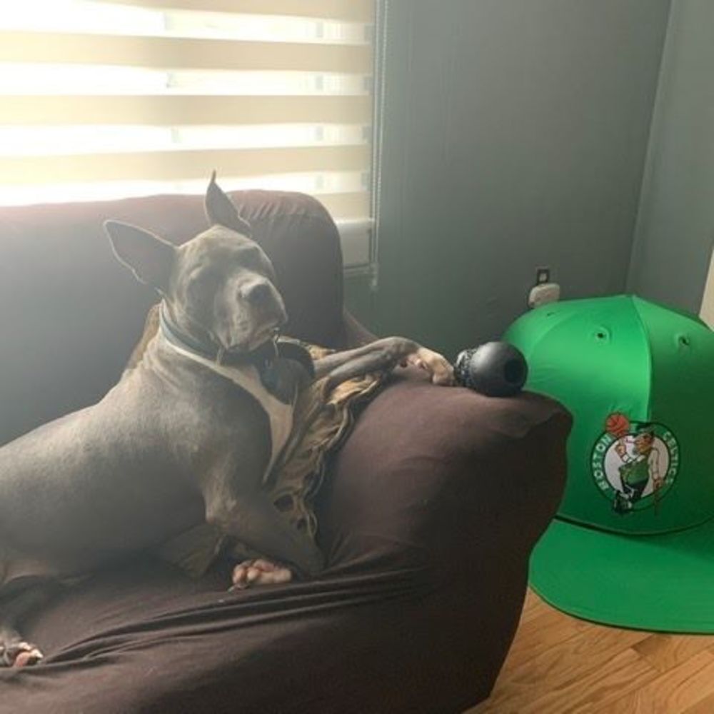 Meet your Posher, Brendan